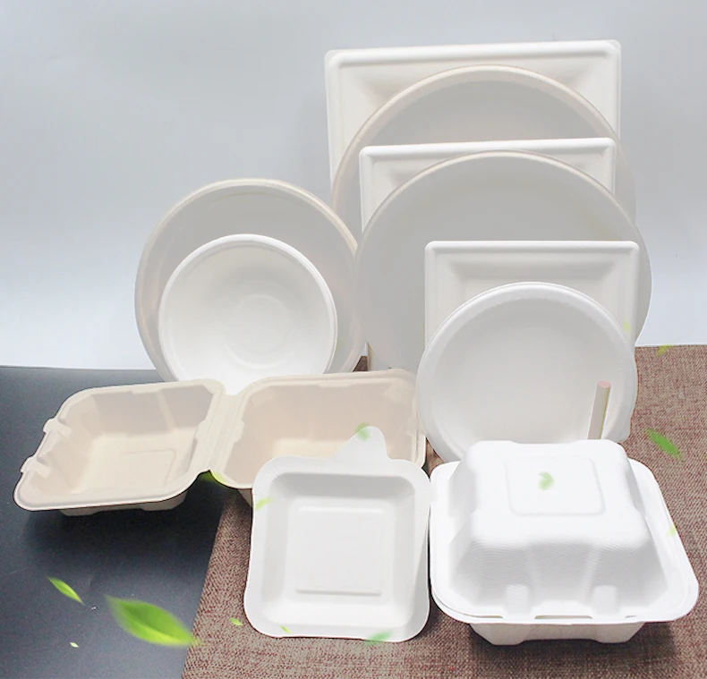 Disposable Bagasse Food Plate Degradable Bagasse Paper Plate Sugarcane ...