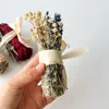 light green-Blue Sage Bundle Kit
