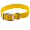 Sunflower yellow