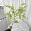Persiano verde-100 cm