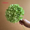 #9 hortensias de cabeza grande de color verde - 18 cm