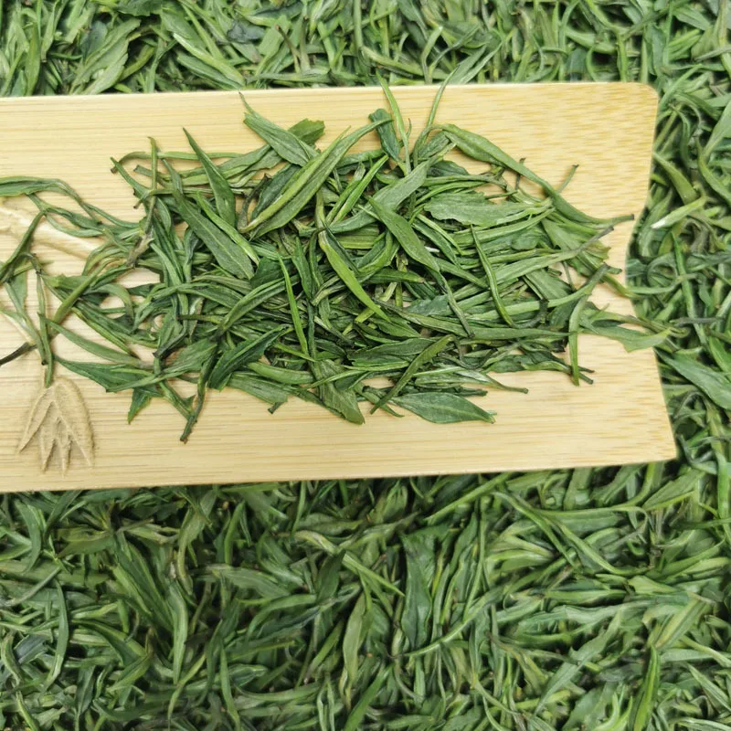 Health Benefits Organic Chinese Green Tea Premium Quality Zhuyeqing Tea