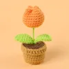 Tulipán naranja+Mini bol de lana pequeño