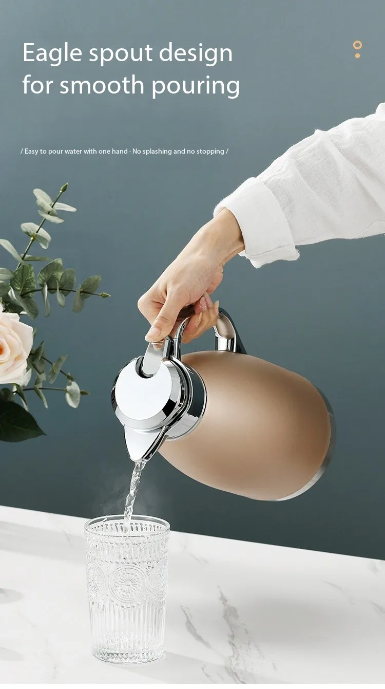 Fts Vacuum Flasks Double Wall Tea Thermal Jug 304 Stainless Steel Handgrip Coffee Insulated Keep