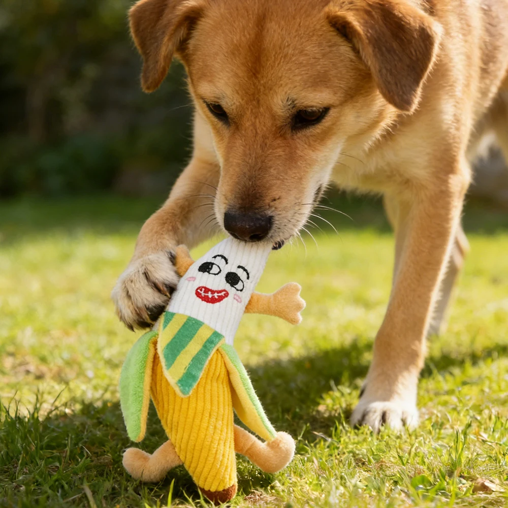 KD1167 squeaky plush dog toy design detail and color options