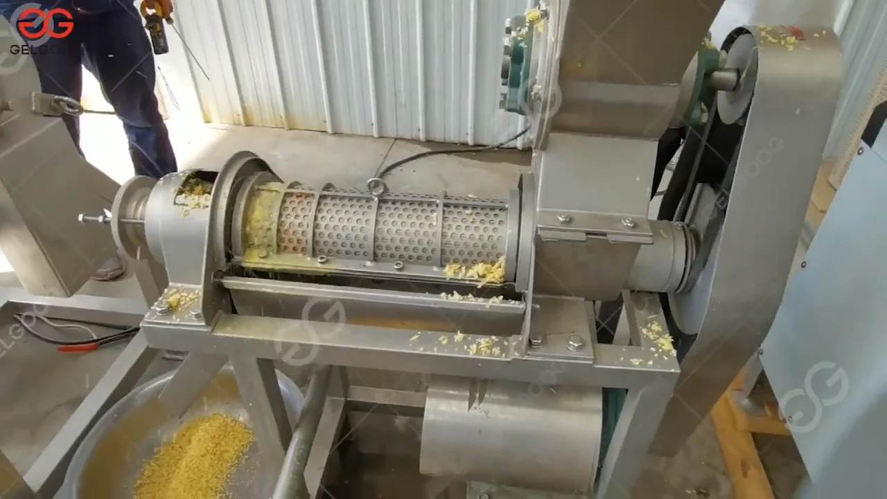 Automatic Screw Crusher Type Carrot Apple Juice Pressing Garlic Ginger