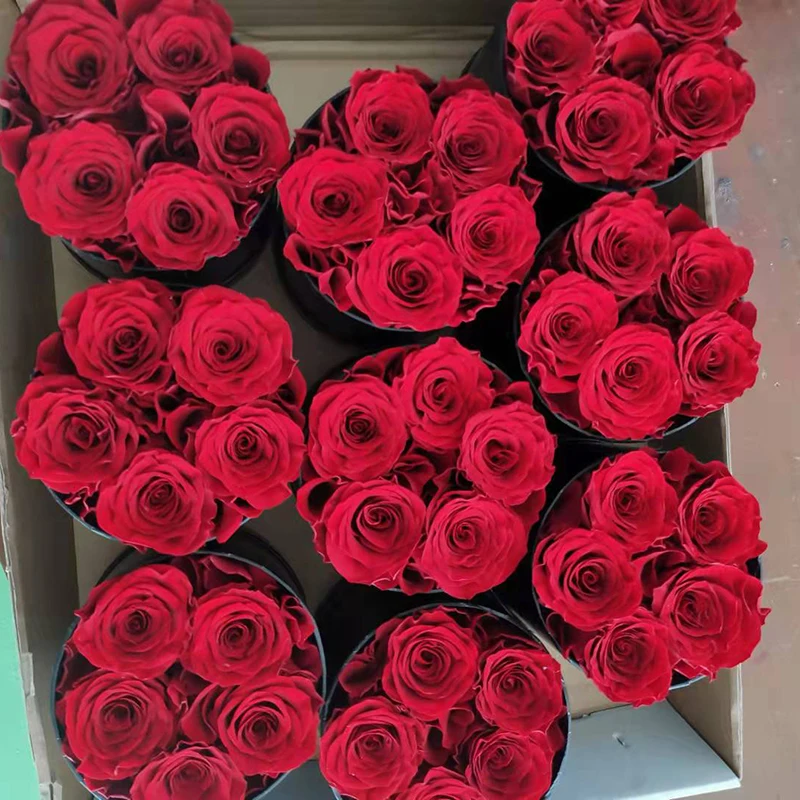 Valentine Gift Hot Sale Everlasting Rose Natural Eternal Immortal Decorative Flower Stabilized Forever Preserved Roses in Box factory