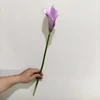 violet clair YL80450