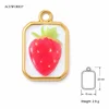 Strawberry Rectangle Charm