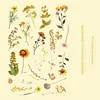 C Autumn Strokes - Jaune