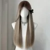 Cabello liso de 65 cm de largo, degradado gris-marrón