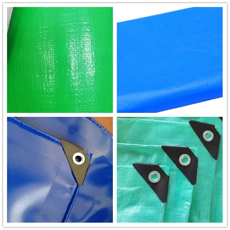 Tarp