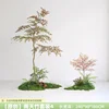 Nandina Set