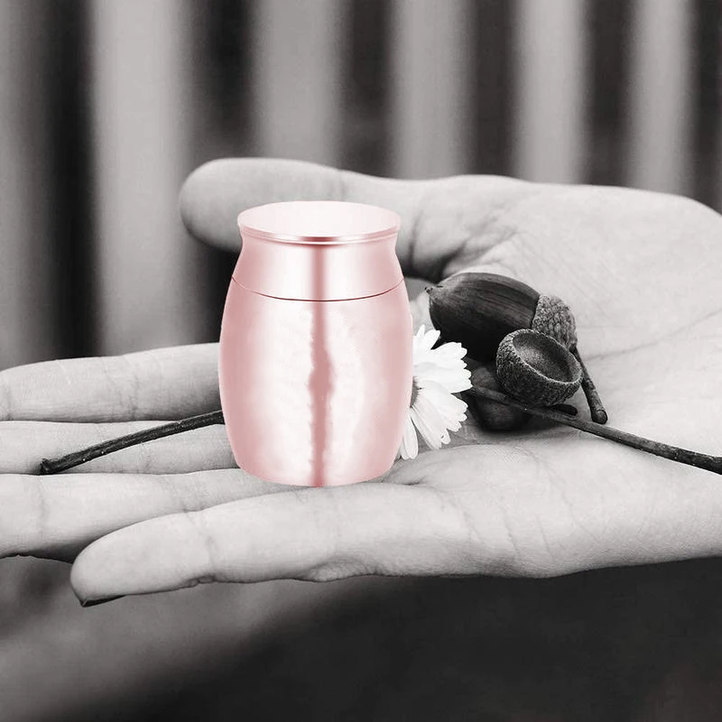 Cremation Jewelry for Pets Ashes Stainless Steel Mini Urn Jar Funeral Container with Wings Print Memorial Gift for Men Women