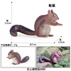 colorful M-2289 Squirrel