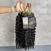 burmese curly - Spiral Curls