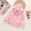 Pink-fawn