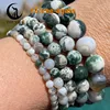 10.tree agate