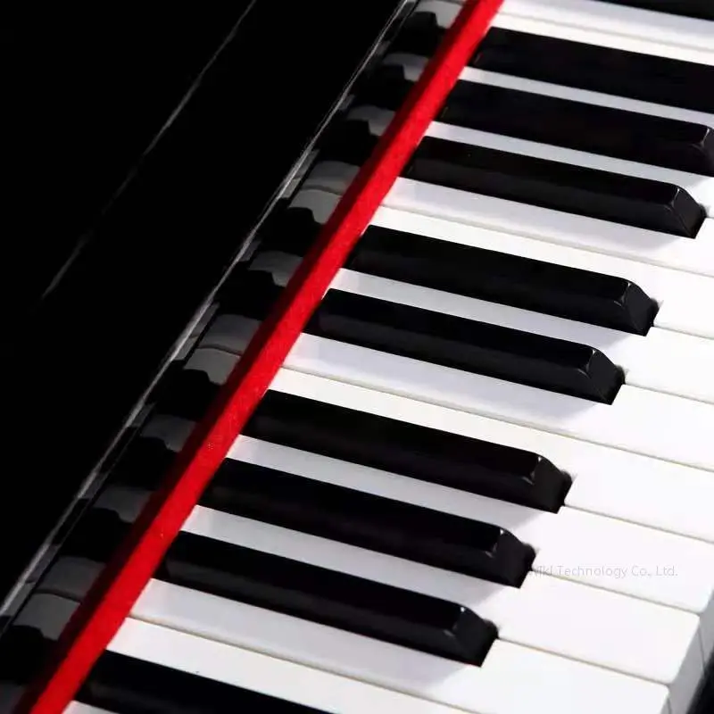 Piano Keyboard Digital