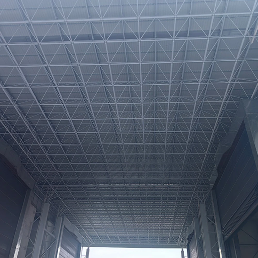 High Quality Latest Design Large Span Space Frame Steel Structure Spherical Dome Shed for Exporting