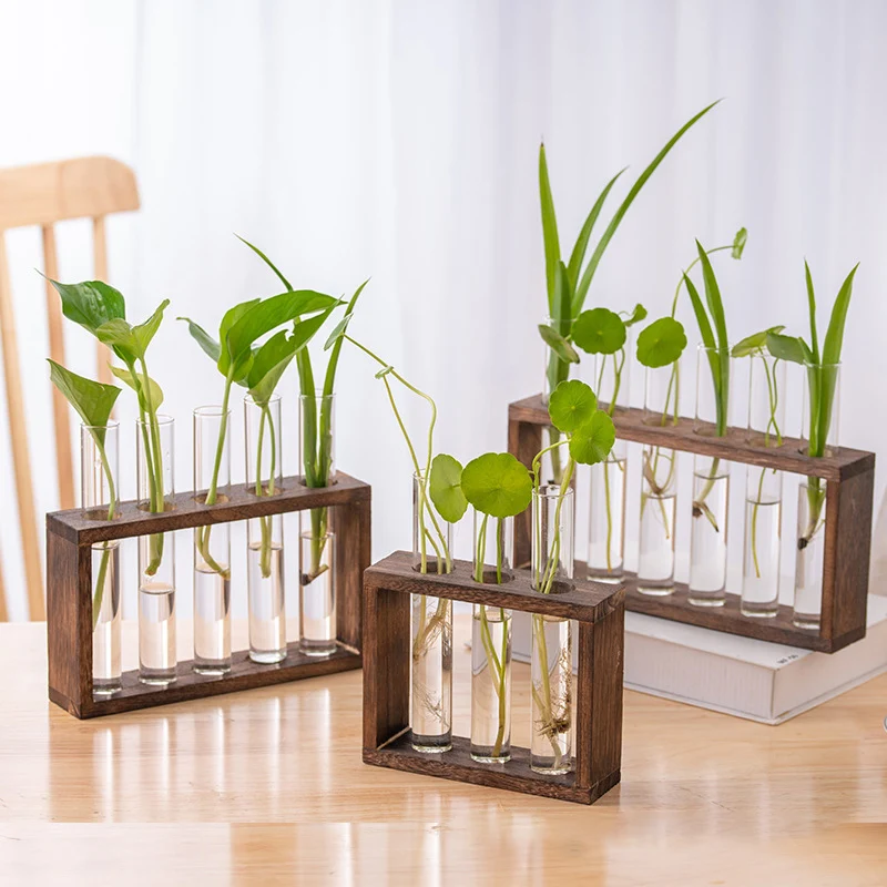 Desktop Hydrokultur-Vase Mit Katzen-Ständer – Glas & Metall, Gold, Für Sukkulenten & Pflanzen-Deko