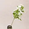 Une branche blanche