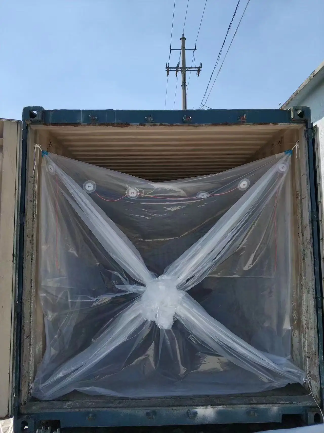 BlueWhale High Quality 20FT PP Woven Container Liner For Bulk Dry Powders