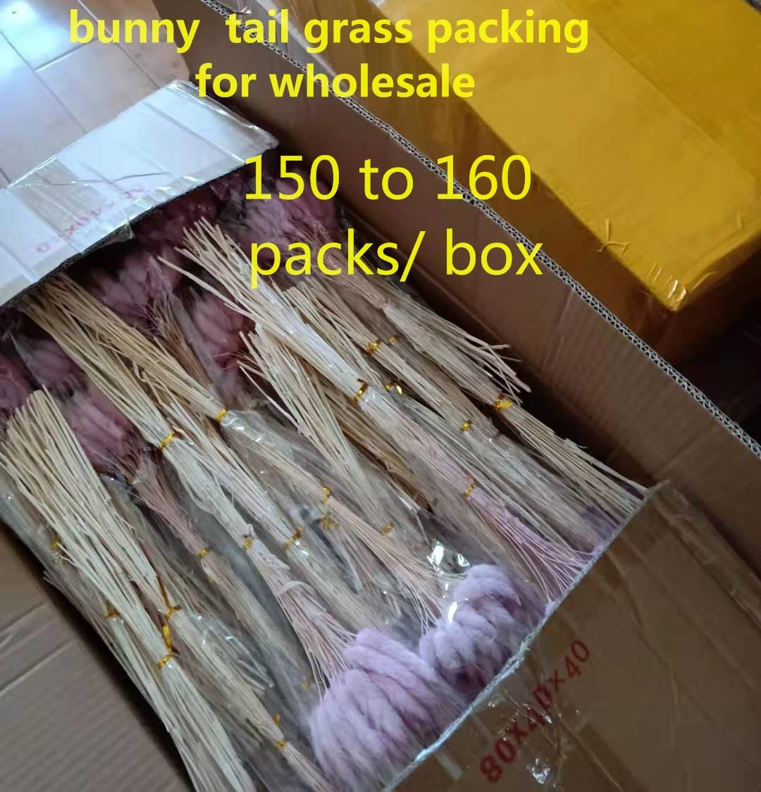 Dried Natural Bunny Tail Grass Lagurus Ovatus Rabbit Tail Grass Flower