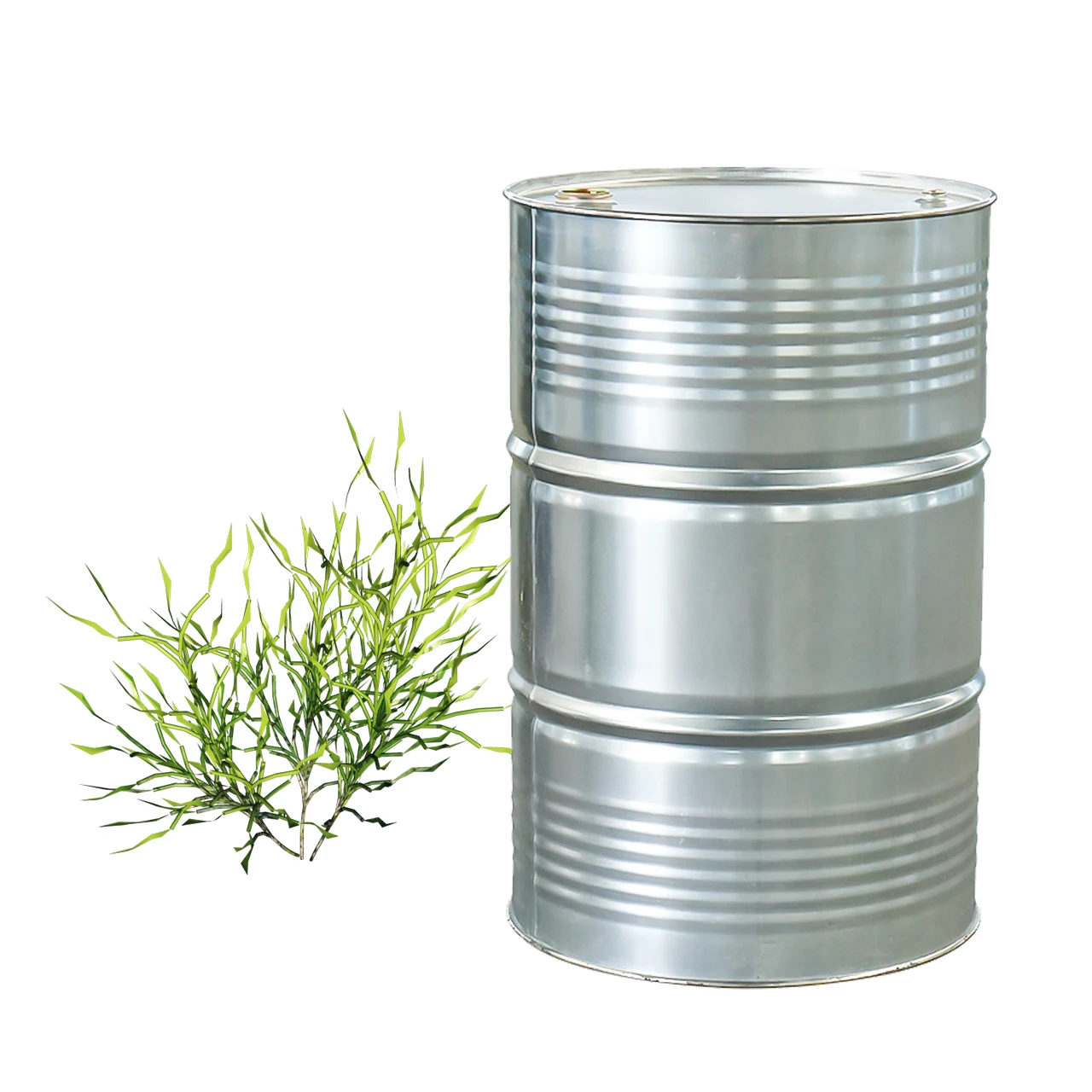 Borui wholesale gallon bulk price organic 100% pure natural tea tree essential oil