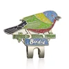 Colorful little bird
