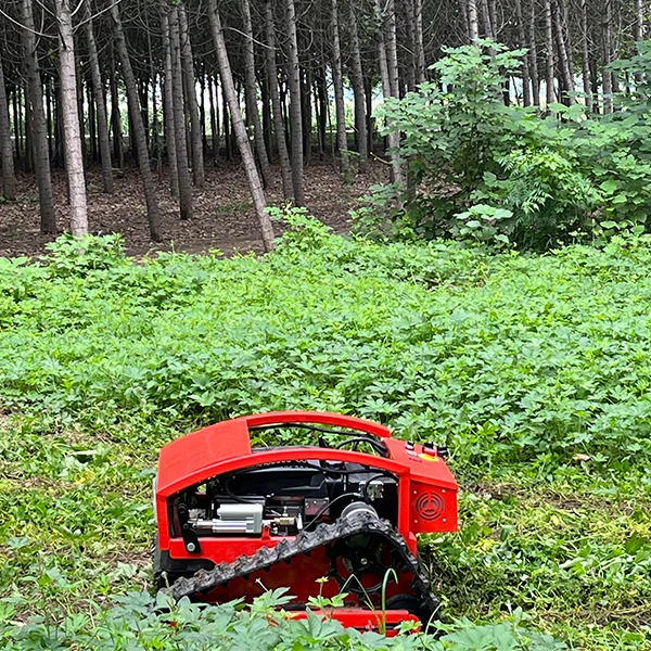Agriculture Rover Robot Efficient Lawn Mower Solutions