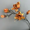 Magnolia a 5 teste con bordo arricciato arancione autunnale