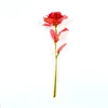 Fiore rosa rossa