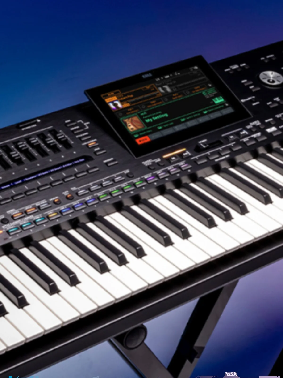 ORIGINAL NEW KORG PA5X PA 5X 61 76 88 Oriental Key Keyboard Professional Arranger Piano Wholesale  KORG PA5X Oriental 61 KEYS