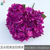 Five-headed Mini Hydrangea WZT Dark Purple