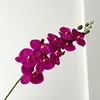 06-púrpura