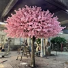 Arbre de la cerise