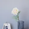 สี หมายเลข2