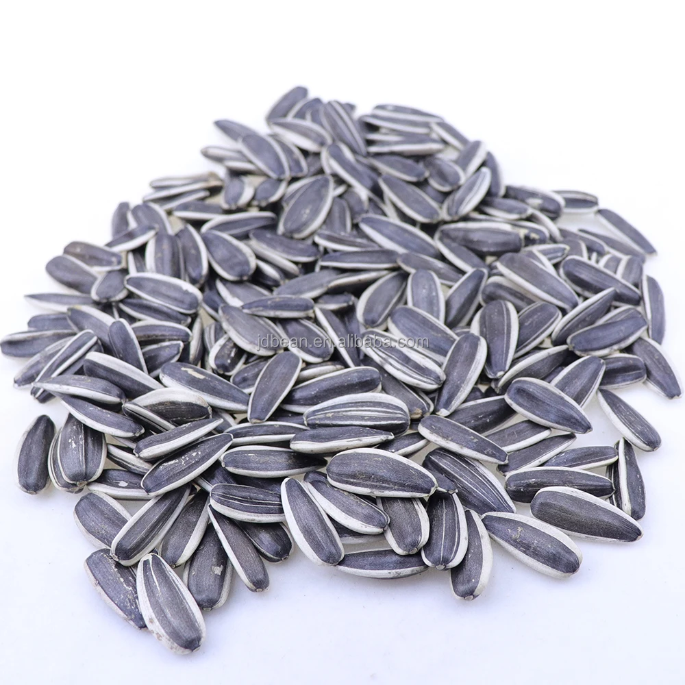Sunflower Seed 361 363 5009 601 China Origin Bulk Sunflower Seed for Oil Jumbo Sunflower Seeds Raw