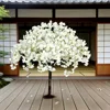 Bianco 05