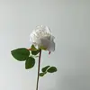 ครีม