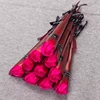 Rose Madder