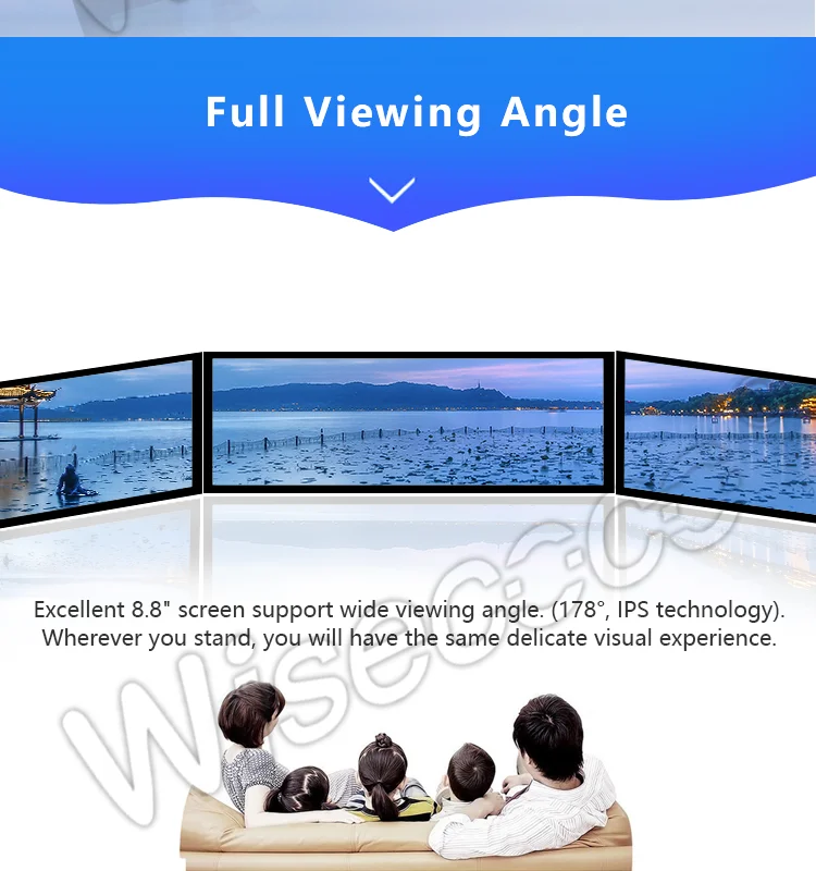 8.8 inch LCD Display (10)