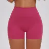 Plum Purple Red-3