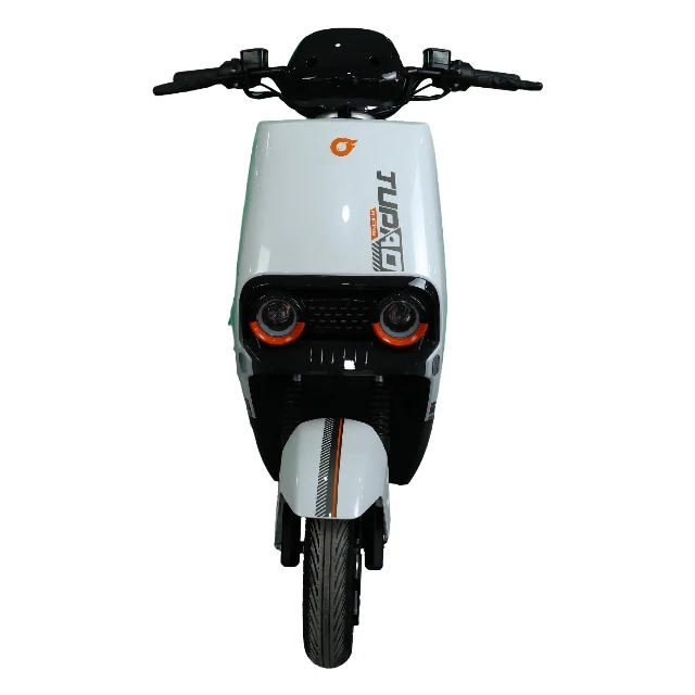 where to buy a fat tire bike