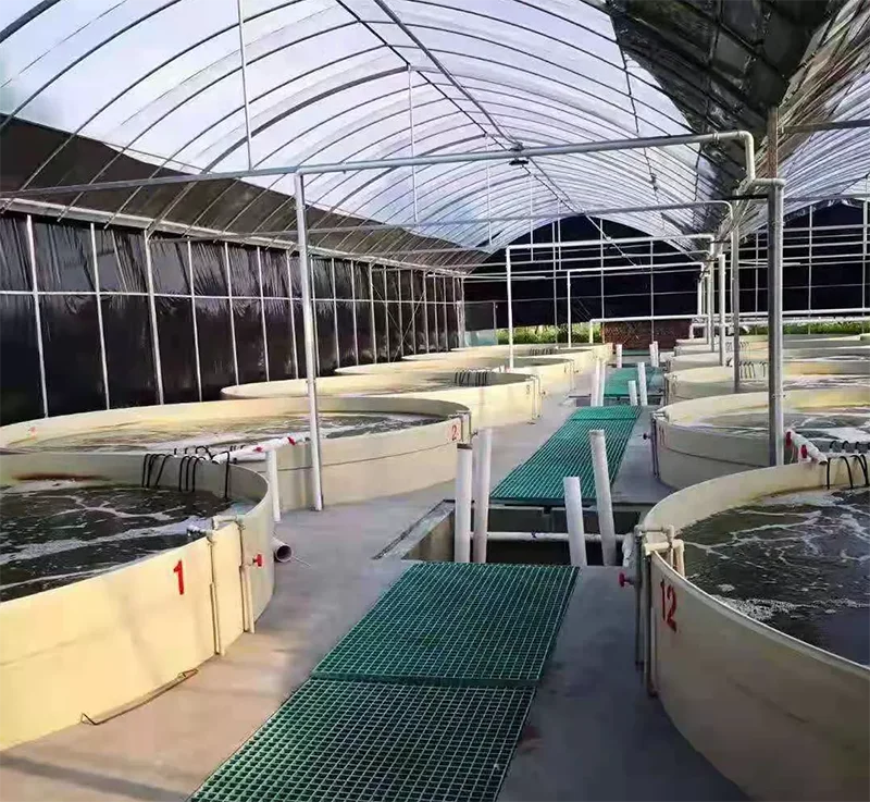 Automatic Fish Farm Filter System for High Density Fish Breeding