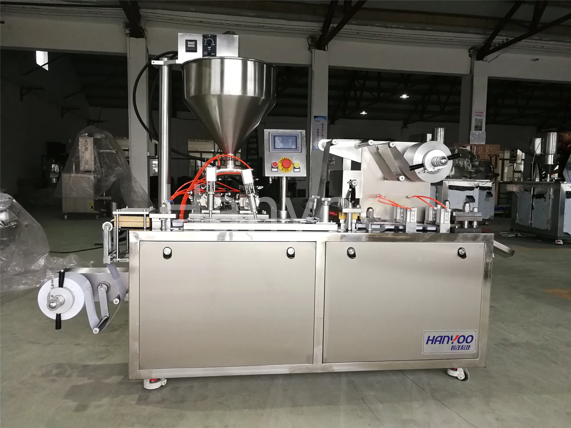 Hanyoo Dpp120y Jam Automatic Liquid Blister Packaging Packing Machine