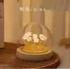 10 rose-rosa