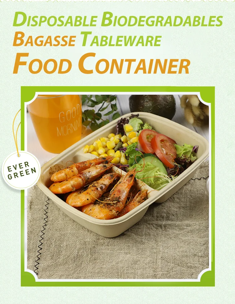 Takeout Sugarcane Bagasse Container With Lid Biodegradable Food Packaging Bagasse Packaging