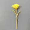 colorful Colorful yellow (18 cm